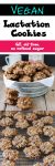 Vegan Chocolate Chip Raisin Macadamia Nut Oat Lactation Cookies