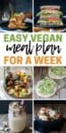 A collage of a variety of veggie filled meals with overlay text about a vegan meal plan.