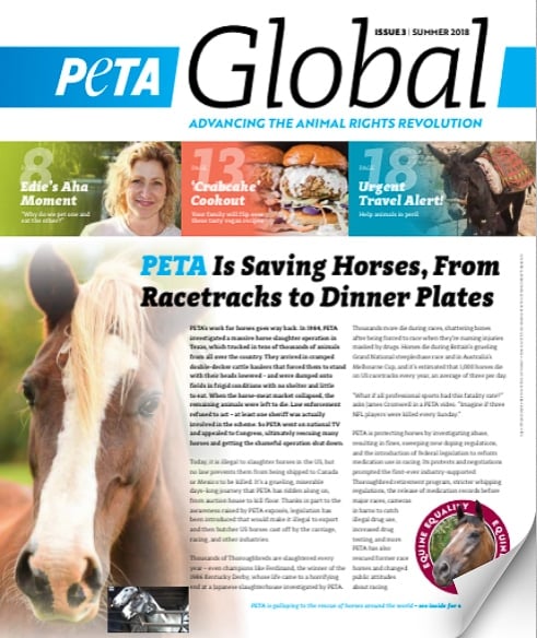 Cover of the PETA Global magazine