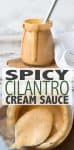 The perfect tangy, subtly spicy, cilantro cream sauce for any meal. Dip it, coat it or drizzle it on top. The flavors of every ingredient come through! #veganmexican #vegansauce