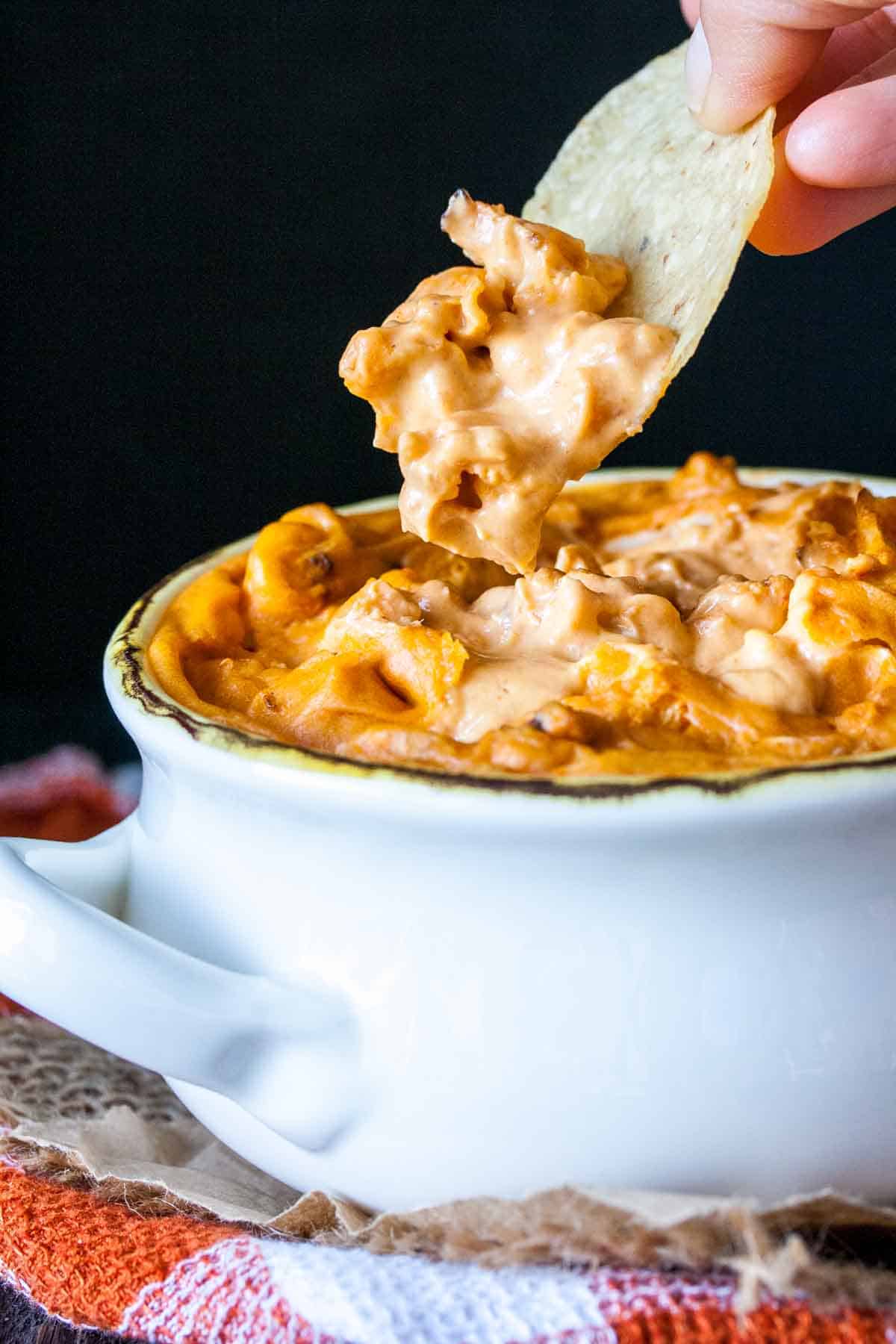 Chip taking a bite from a bowl of buffalo dip with cauliflower