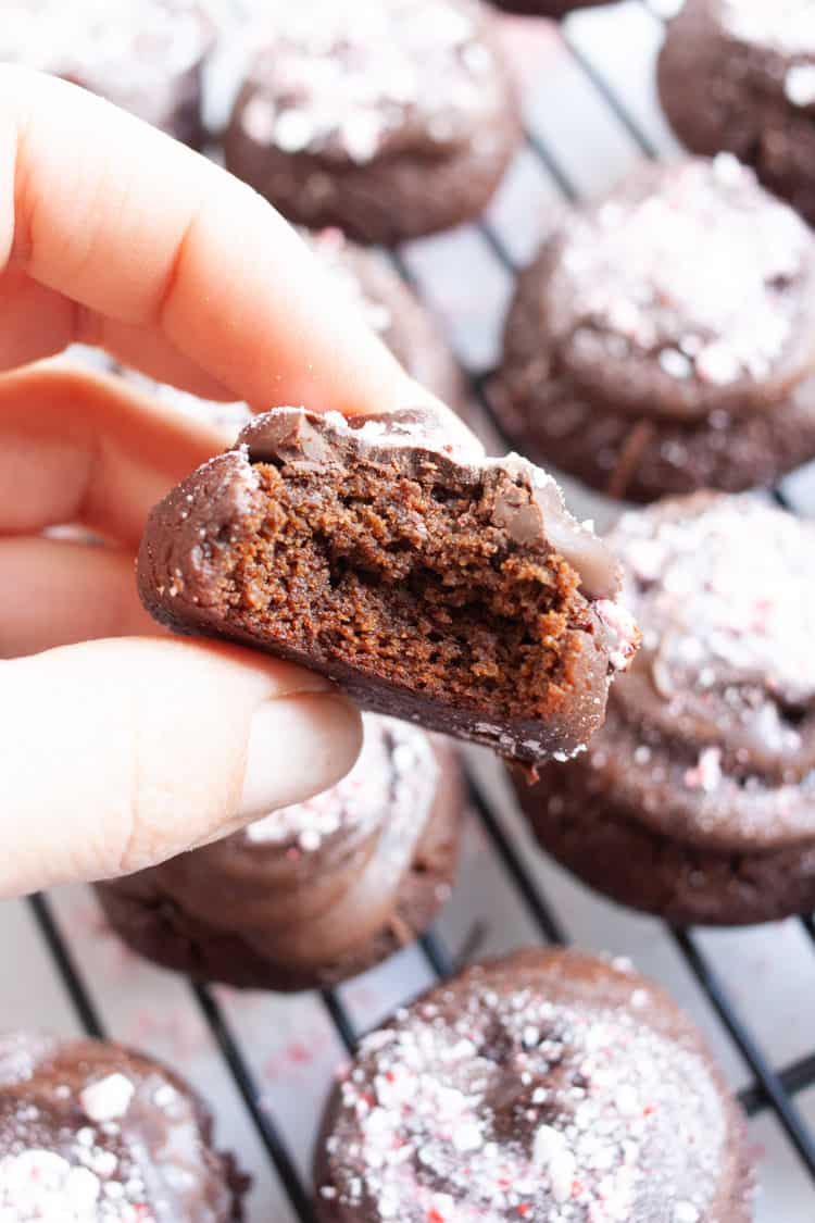 Hand holding half eaten peppermint brownie