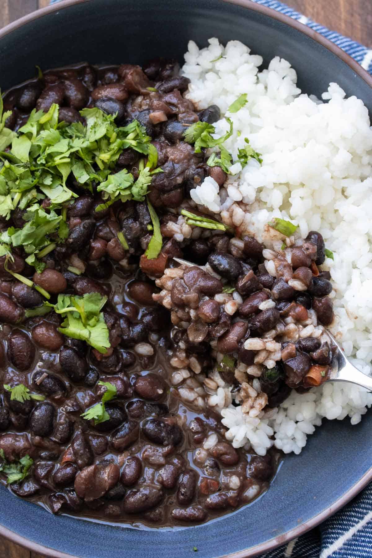 Fork taking a bite of black beans and white rice with chopped cilantro from a dark blue bowl.