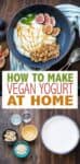 Collage of ingredients and steps to make vegan yogurt at home with overlay text