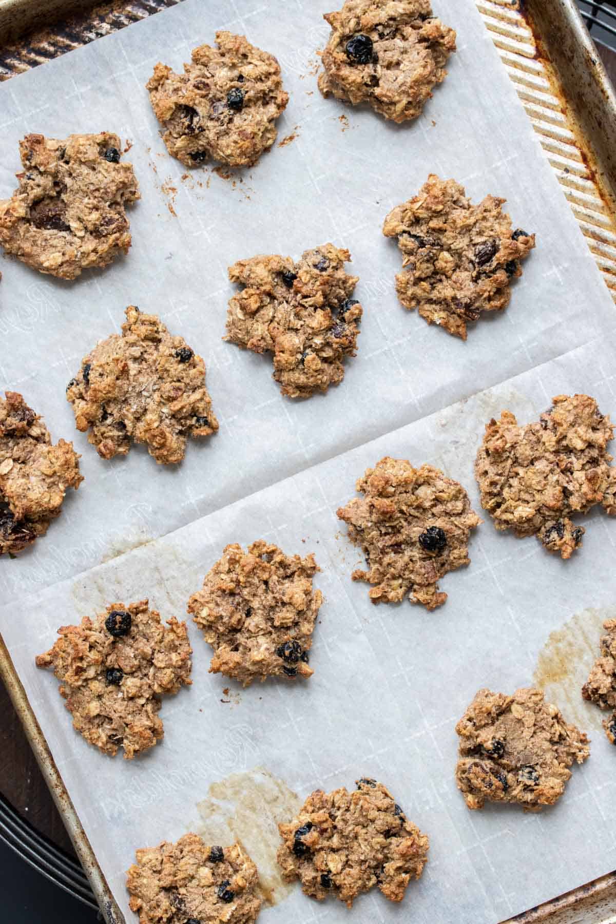 Baked oat breakfast cookies on a piece of parchment on a baking sheet