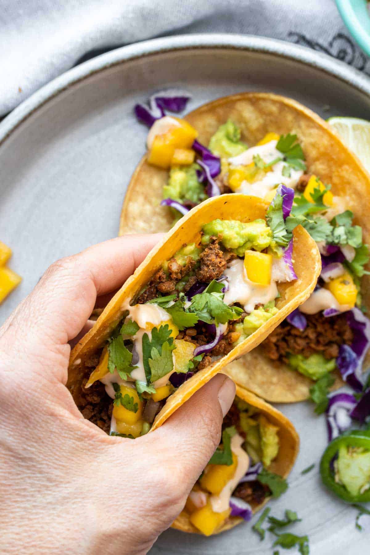 Hand holding a vegan chorizo taco topped with cabbage and salsa