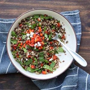 White bowl with a salad with lentils, spinach, quinoa and red peppers inside