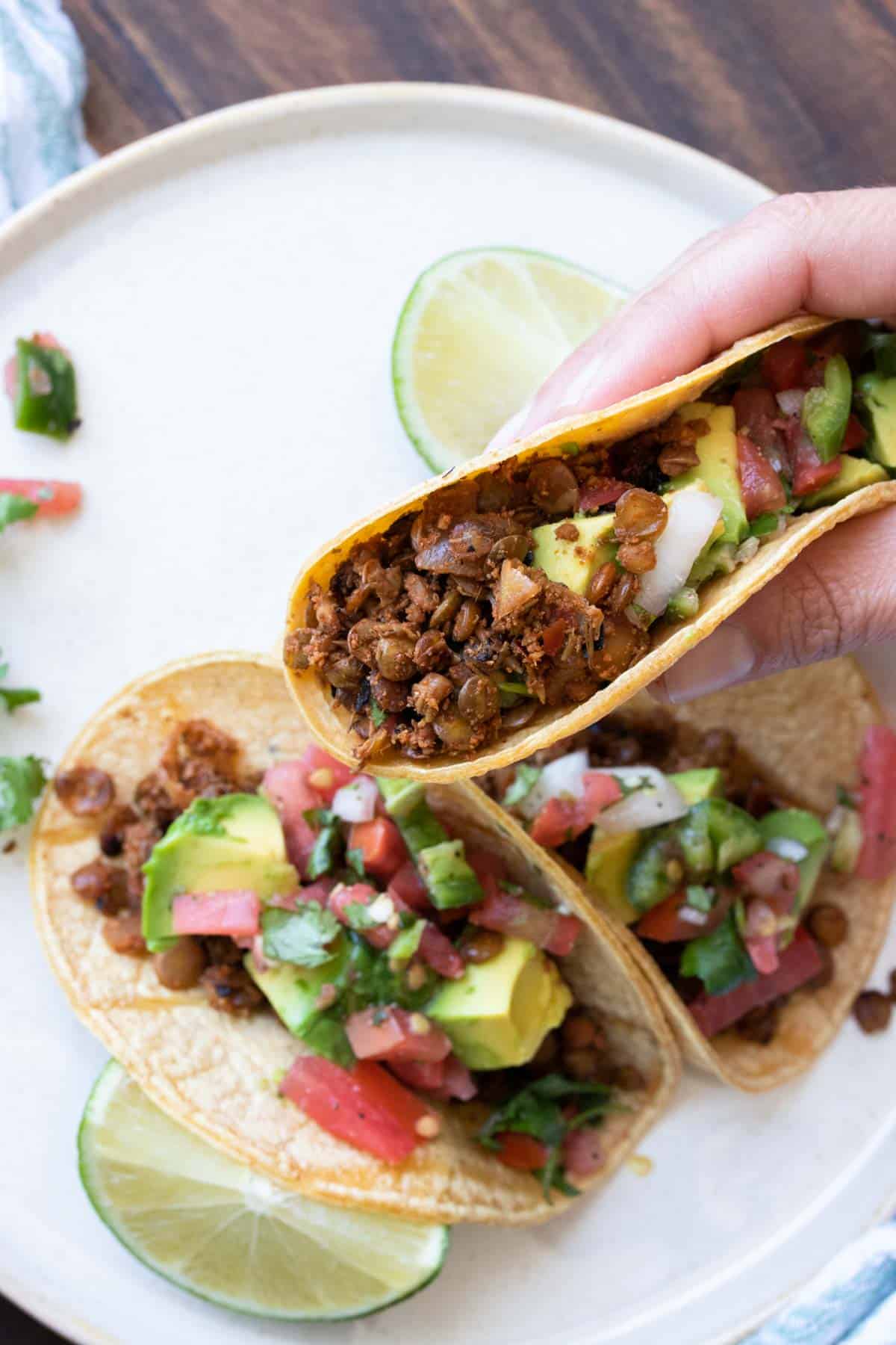 Hand holding a taco filled with lentil walnut taco meat