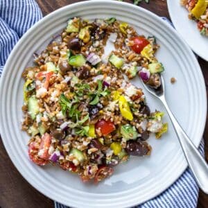 A white plate with a farro based salad in it and oregano sprinkled on top.