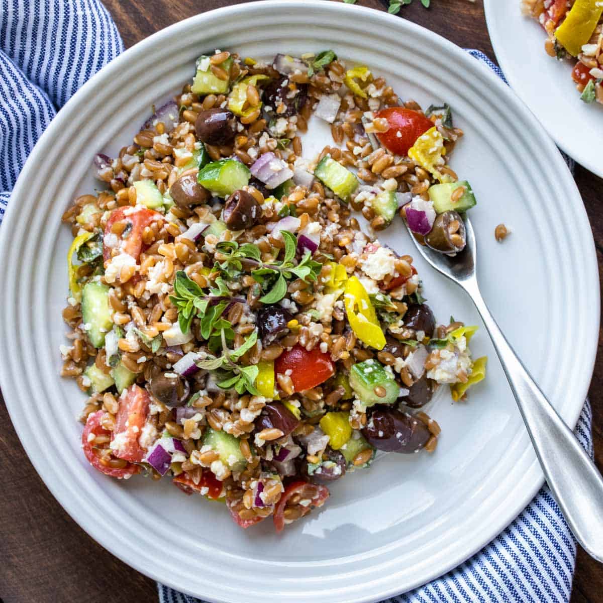 Amazing Greek Farro Salad Recipe-image