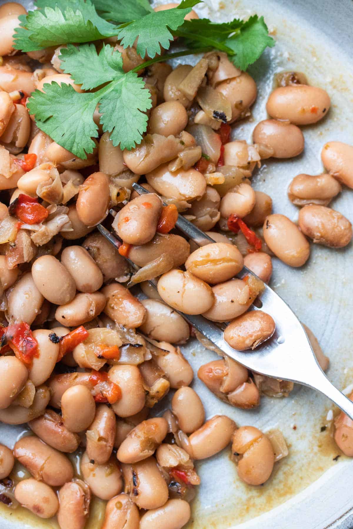 Fork getting a bite of pinto beans from a grey plate