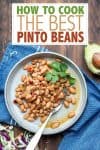 Overlat test on pinto beans with a photo of the beans on a grey plate