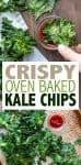 Collage of kale chips being baked and a hand dipping one with overlay text