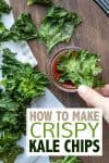 Hand dipping a kale chip into ketchup with overlay text on kale chips