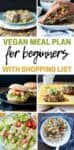 Six photos of different meals like burgers, pasta, tacos, stuffed mushrooms, burritos and a sandwich with overlay text in the center about a vegan meal plan.