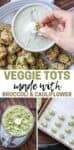 Overlay text on a collage of broccoli and cauliflower being blended in a food processor, veggie tots being formed and placed on a baking sheet and a hand dipping a veggie tot into a white dip.