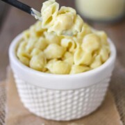 Spoon getting a bite of pasta shells mixed with a rich white cheesy sauce