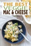 Overlay text on veggie mac and cheese with a photo of the end result in a blue bowl