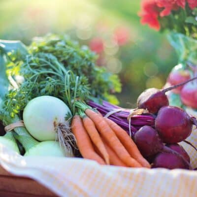 Are Organic Foods Healthier?