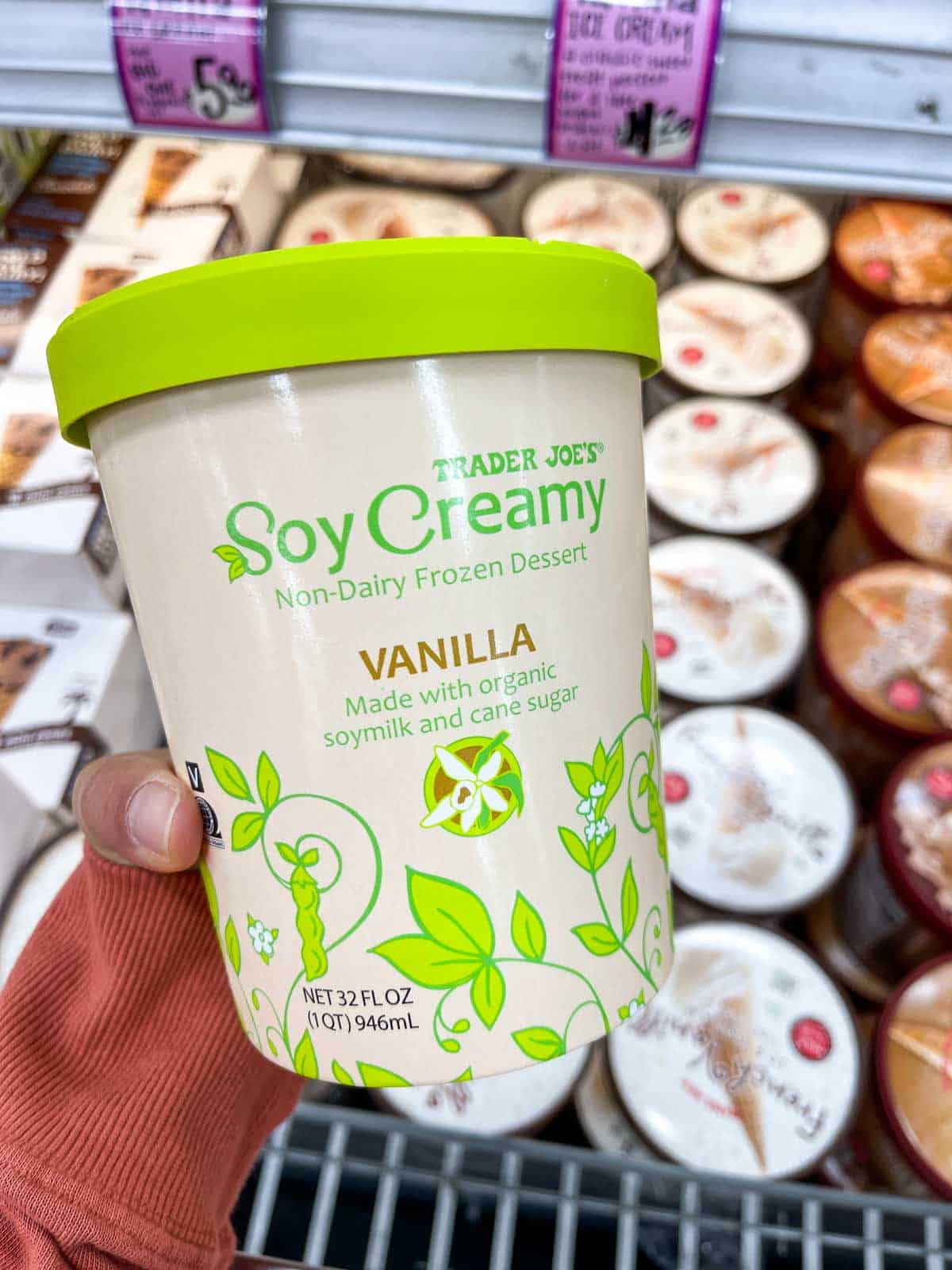 A hand holding a creme and green ice cream pint of vanilla soy ice cream