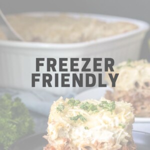 Vegan Freezer Friendly Recipes