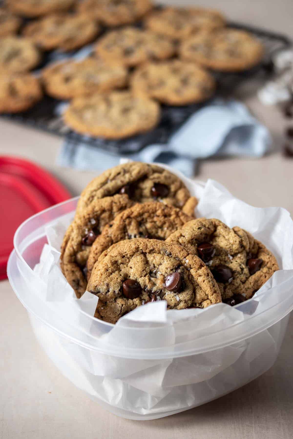 Front view of chocolate chip cookies lined up in a plastic container lined with parchment paper sitting on a tan surface.