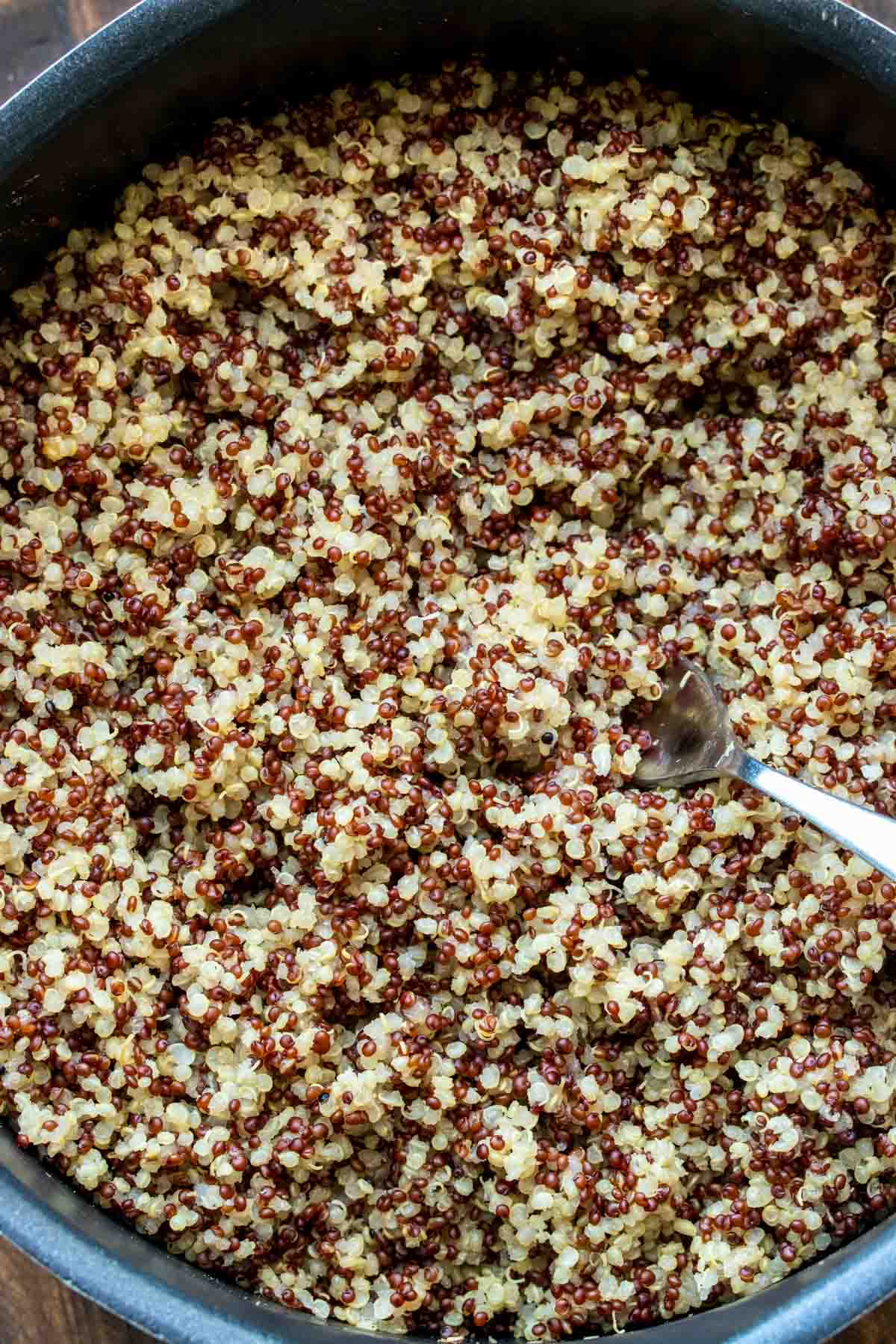 Close up of cooked tri colored quinoa being mixed in a pot.