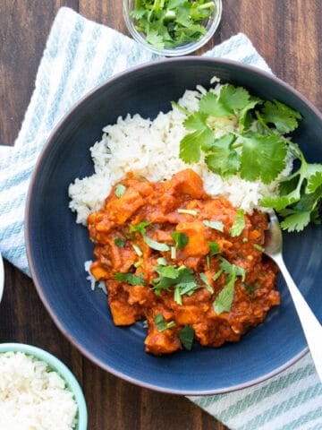 A dark blue plate with rice and a sweet potato curry on top garnished with cilantro.